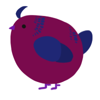 A wine and navy chicken with a neck-band pattern