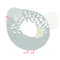 A silver and white chicken with a half-lace pattern