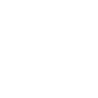 A white chicken