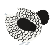 A white and sable chicken with a lace pattern