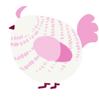 A white and pink chicken with a bar pattern