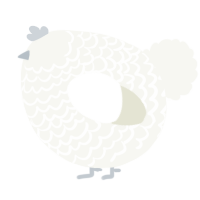 A white chicken with a lace pattern