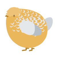 A honey and mist chicken with a half-lace pattern