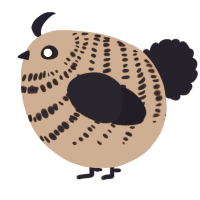 A vermilion and tumblr chicken with a bar pattern