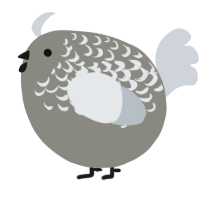 A ash and mist chicken with a half-lace pattern