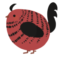 A red and sable chicken with a bar pattern