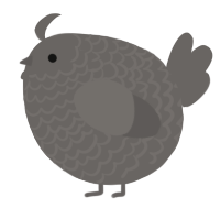 A grey chicken with a lace pattern