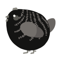 A black and grey chicken with a half-bar pattern