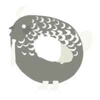A ash and white chicken with a half-lace pattern