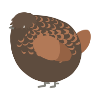 A bark and brown chicken with a half-lace pattern
