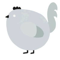 A mist and silver chicken with a neck-speckle pattern