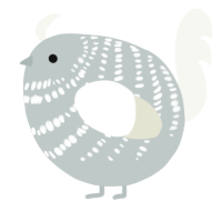 A silver and white chicken with a bar pattern