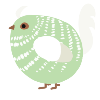 A gluppy and white chicken with a bar pattern