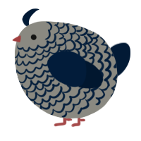 A ash and tumblr chicken with a lace pattern
