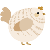 A cream and beige chicken with a bar pattern