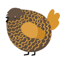 A bark and orange chicken with a lace pattern