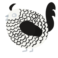 A white and sable chicken with a lace pattern