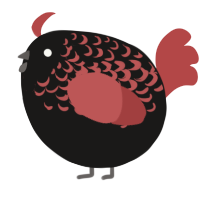 A sable and red chicken with a half-lace pattern