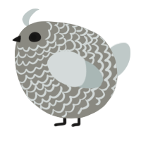 A ash and silver chicken with a lace pattern