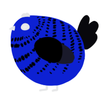 A yellow and white chicken with a bar pattern