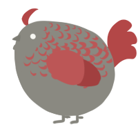 A ash and red chicken with a half-lace pattern