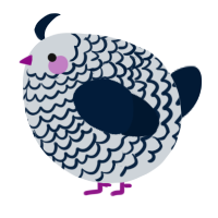 A mist and tumblr chicken with a lace pattern