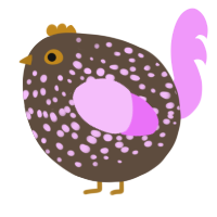 A bark and lavender chicken with a speckle pattern