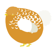 A orange and white chicken with a half-lace pattern