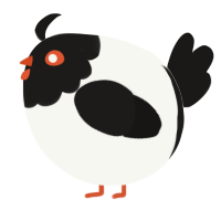 A white and sable chicken with a head pattern