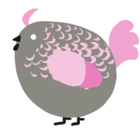 A ash and pink chicken with a half-lace pattern