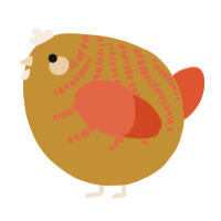 A gold and vermilion chicken with a half-bar pattern