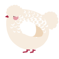 A cream chicken with a half-lace pattern