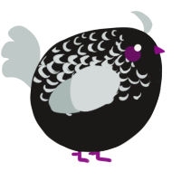 A sable and silver chicken with a half-lace pattern