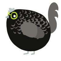 A black and grey chicken with a half-lace pattern