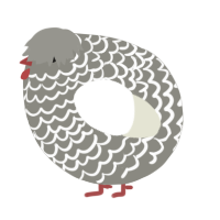 A ash and white chicken with a lace pattern