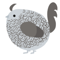 A mist and grey chicken with a double-lace pattern