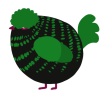 A black and leaf chicken with a bar pattern