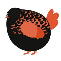 A black and vermilion chicken with a half-lace pattern