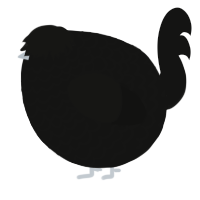 A black chicken with a lace pattern