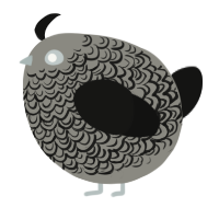 A ash and black chicken with a double-lace pattern