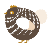 A bark and cream chicken with a bar pattern