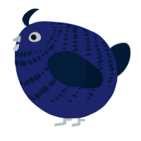 A navy and tumblr chicken with a bar pattern