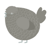 A ash chicken with a lace pattern