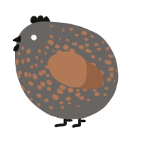 A grey and brown chicken with a speckle pattern