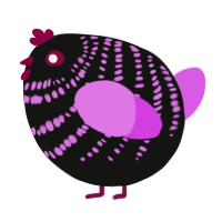 A black and orchid chicken with a bar pattern