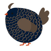 A tumblr and bark chicken with a lace pattern