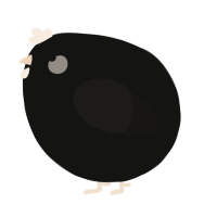 A black and sable chicken
