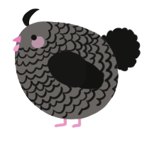 A grey and black chicken with a lace pattern