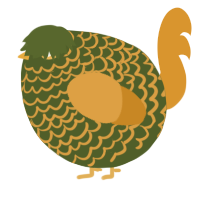 A olive and orange chicken with a lace pattern