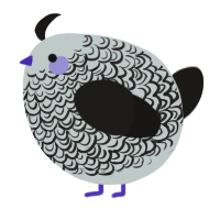 A silver and sable chicken with a double-lace pattern